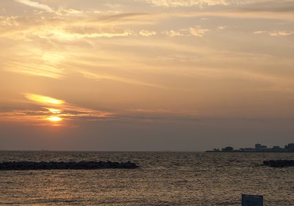 やるな～、FX150