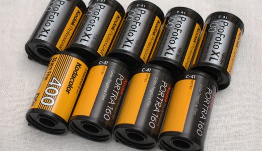 現像済みフィルムが12本