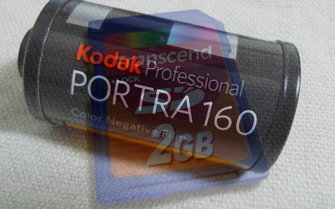 デジタル保存とアナログ保存