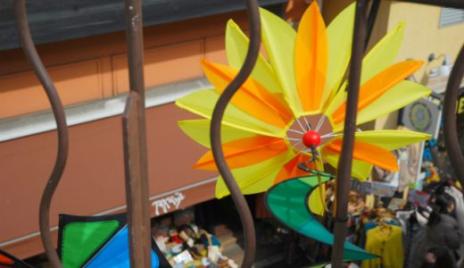 まだ5月だというのに