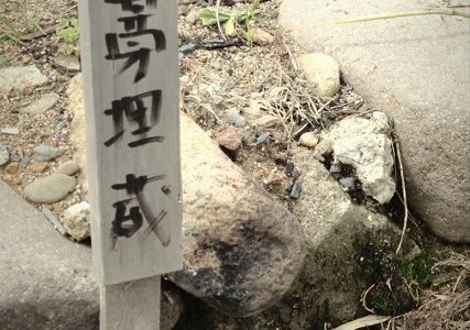 牛蒡が埋蔵されている