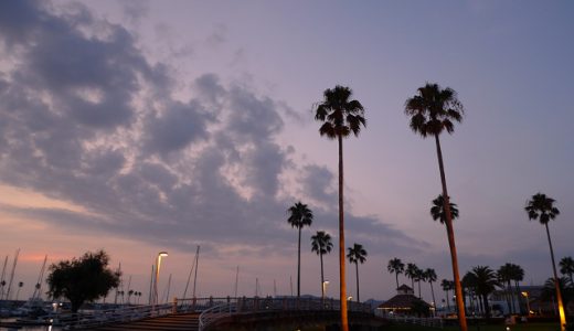 最近はLX3をよく使う