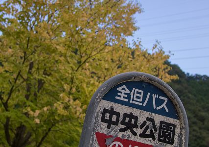 ミラーレス機は使い勝手のよさ、No.1