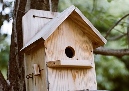 最近は「カメラ片手に」の機会が少ないです