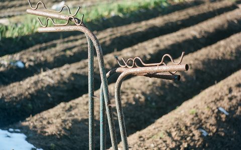やはり、中判はすごい