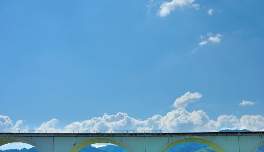 夏のレジャーは全く無縁