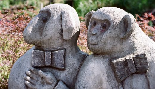 ツッコミをするサル