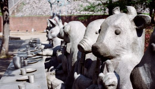 上から目線の牛