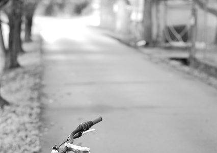 久々にD40で撮ってみました