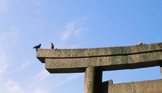 鳥居の上に鳥
