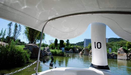 今年の夏の思い出