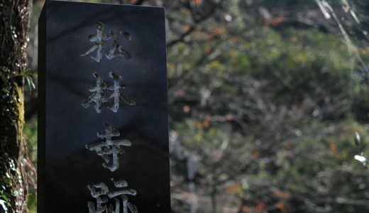 背景に注意が必要なレンズ、ニコンの16-85mm